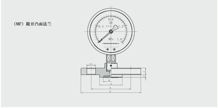 膜片压力表 膜片压力表