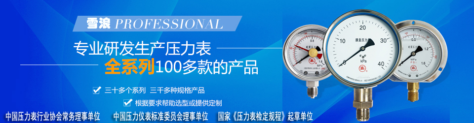 金百博专业研发生产压力表全系列100多款产品